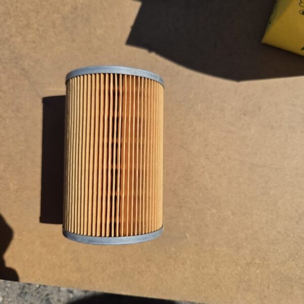 Filtre à Carburant P725 (2)