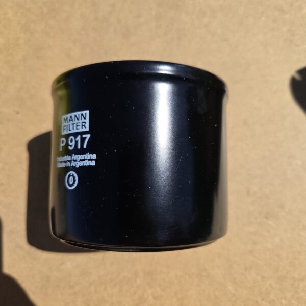 Filtre à Carburant P917X (2)